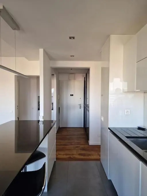 Appartement De Standing Au Centre De Geneve Apartmán