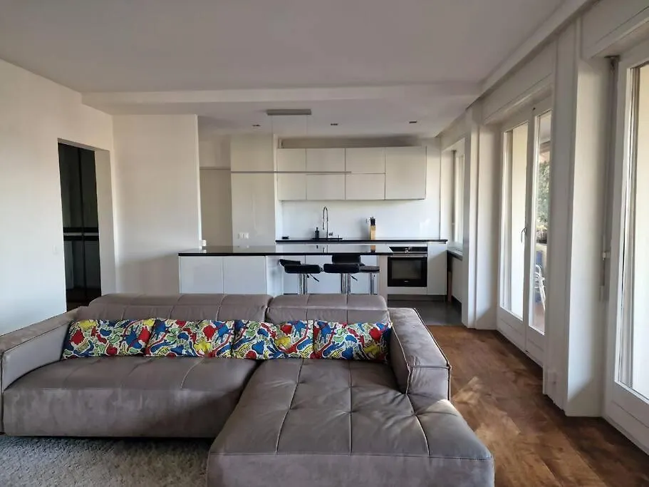 Appartement De Standing Au Centre De Geneve